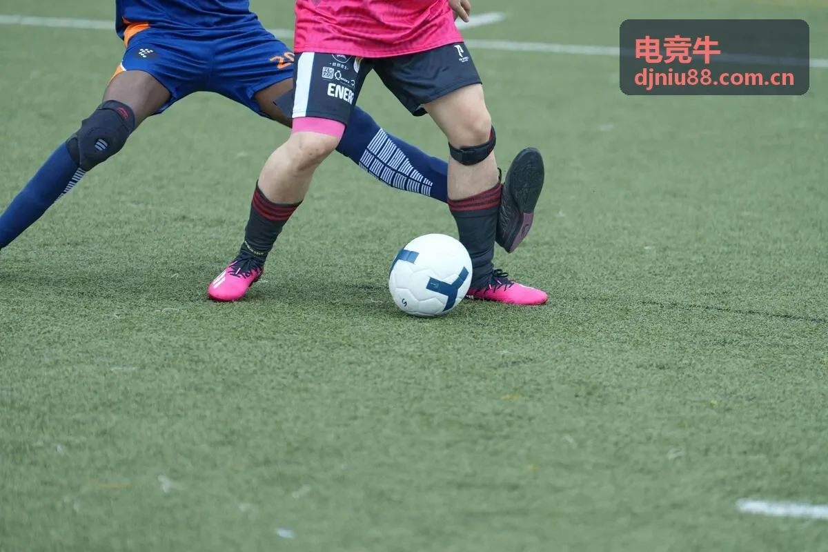 电竞牛数据仪表盘展示